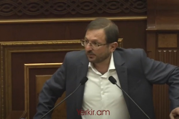 Правительство Армении во главе с Пашиняном использует азербайджанские термины – Гегам Манукян (видео)